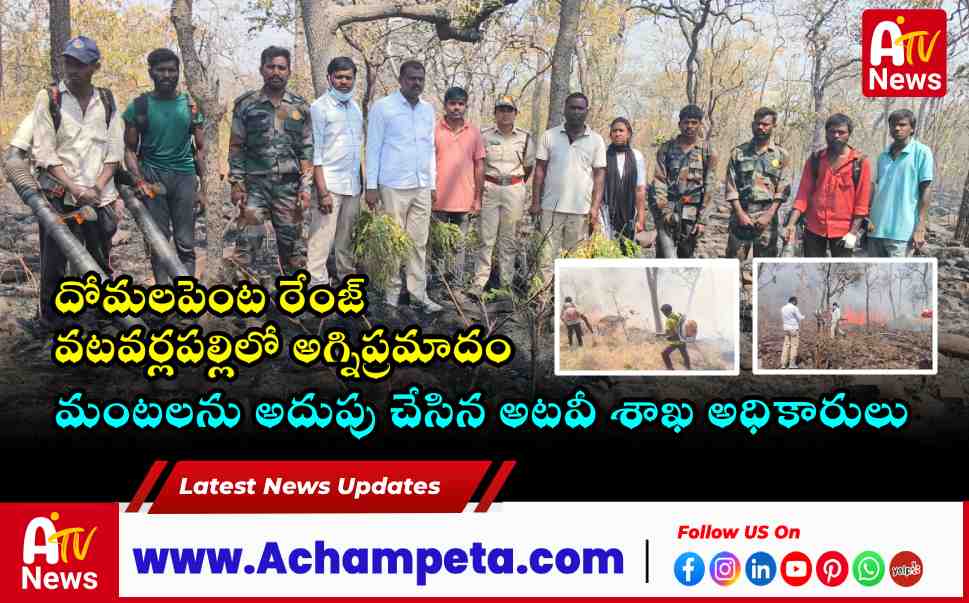 Forest Fire Controlled in Domalapenta Range 30 Hectares Affected Near Vatavarlapally