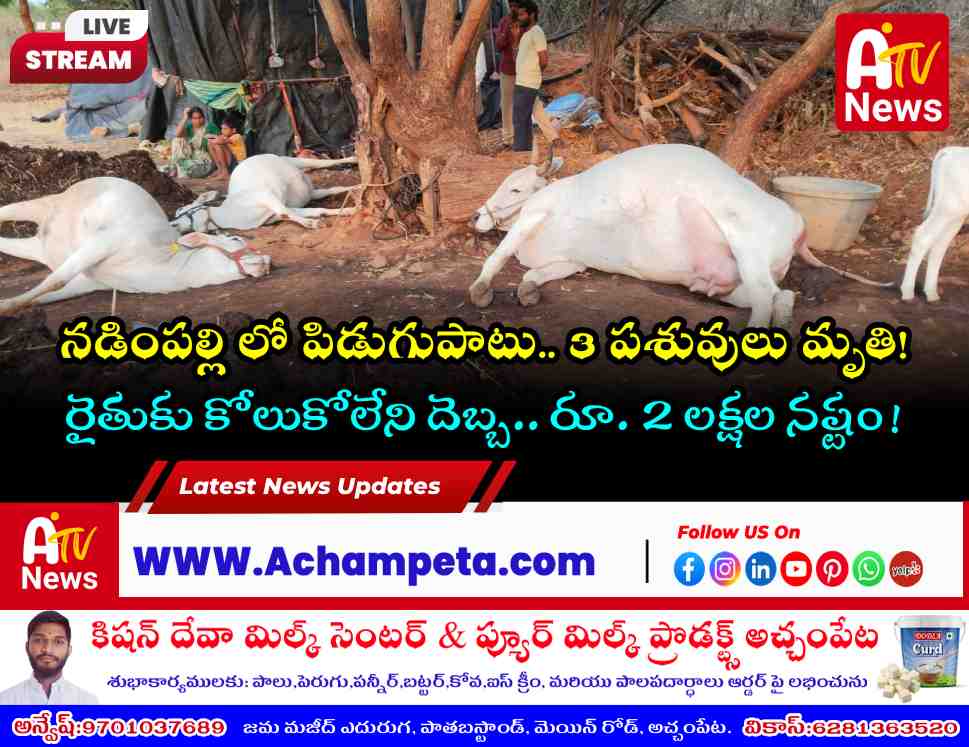 పిడుగుపడి మూడు పశువులు మృతి | నడింపల్లిలో రైతుకు భారీ నష్టం