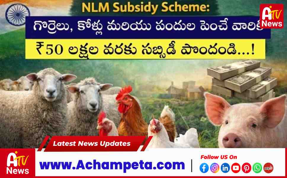 NLM Subsidy Scheme 2026 Get Up to ₹50 Lakh for Livestock Business