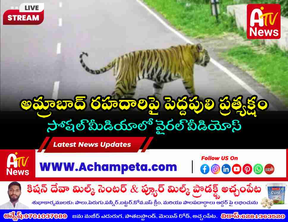 Tiger Spotted on Srisailam-Hyderabad Highway Near Amrabad