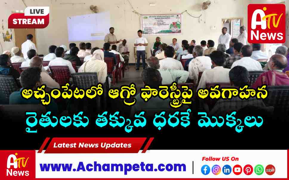 Zomato All India Manager Vatsal Promotes Agro-Forestry in Achampet