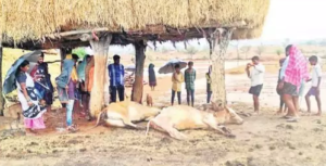 Achampeta News