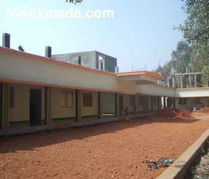 junior-college